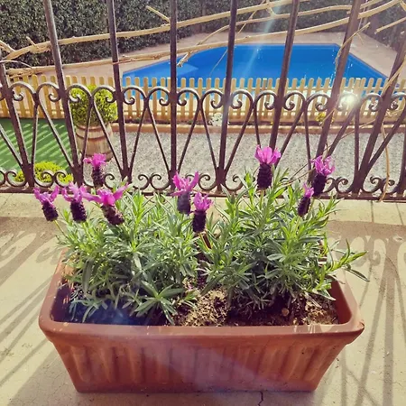 Casa Con Piscina Privada En Gualta, Blay Villa